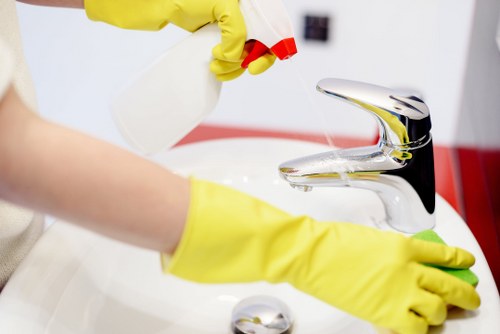 Eco-friendly oven cleaning solutions