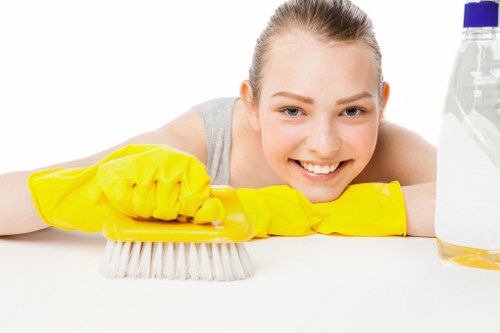Detailed view of the upholstery cleaning pre-treatment process