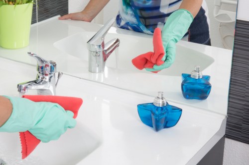 Eco-friendly carpet cleaning solutions in action