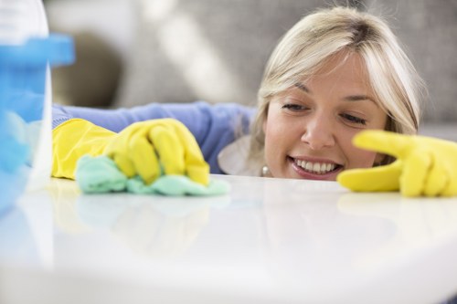 Benefits of professional oven cleaning