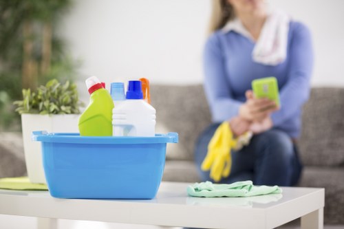 Benefits of Professional Carpet Cleaning for Tenants