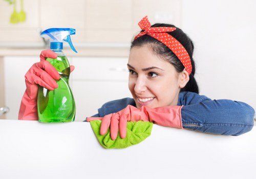 Eco-friendly rug cleaning solutions